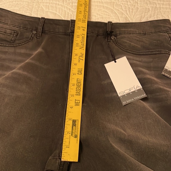 Sofia Vergara Rosa High Rise Curvy Ankle Studded Jeans Size 20 - Picture 10 of 11